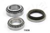 ASHIKA 44-11030 Wheel Bearing Kit